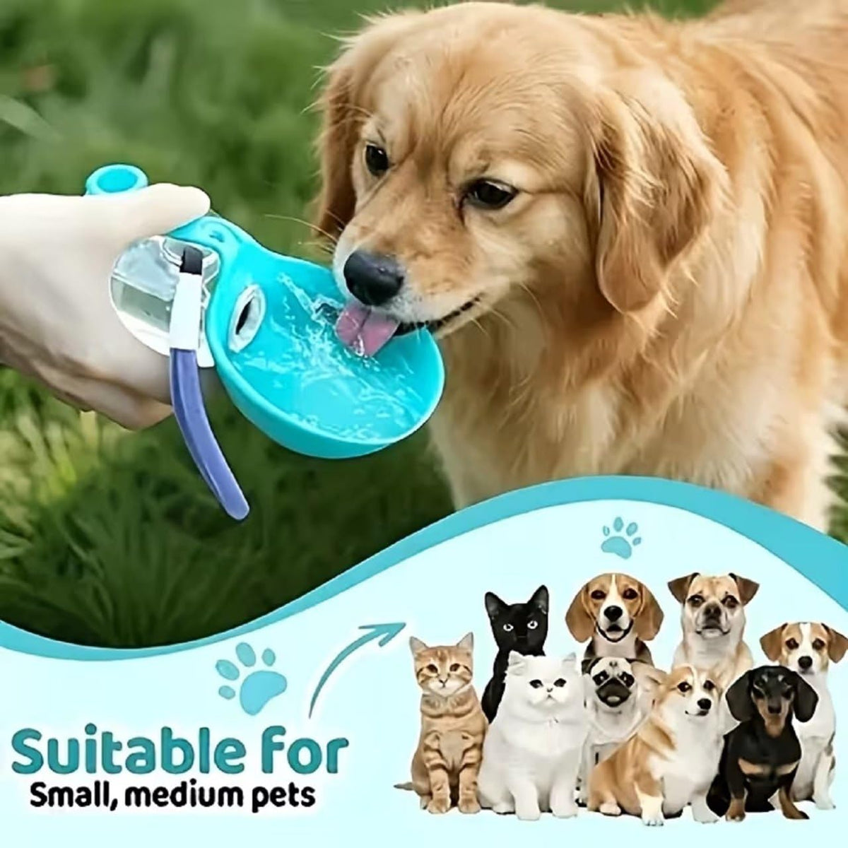 Portable Dog Water Bottle – 2-in-1 with Foldable Bowl | 50% Off